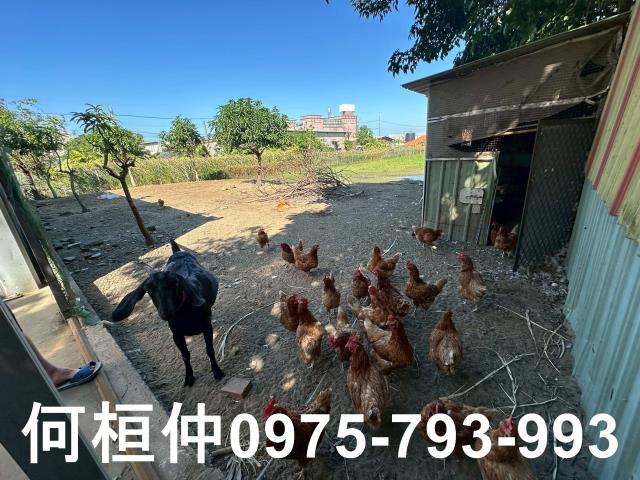 苗栗竹南農舍-11