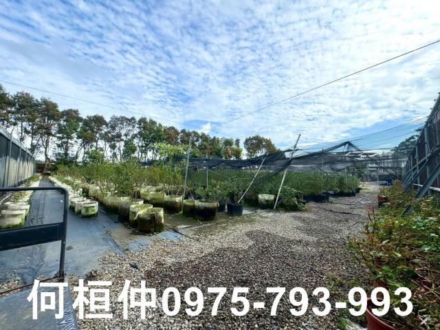 苗栗後龍廠房-11