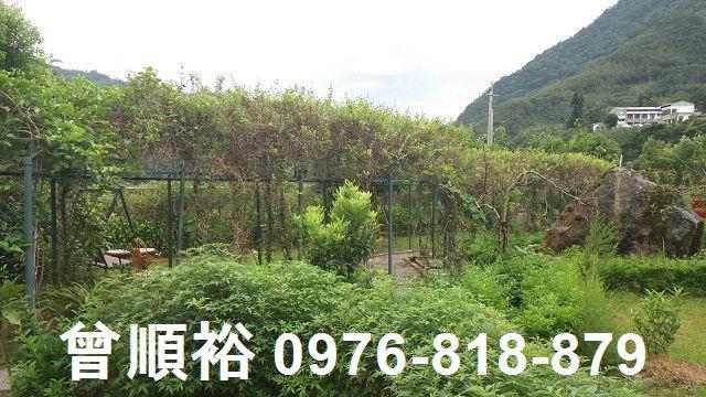 新竹尖石農地-5