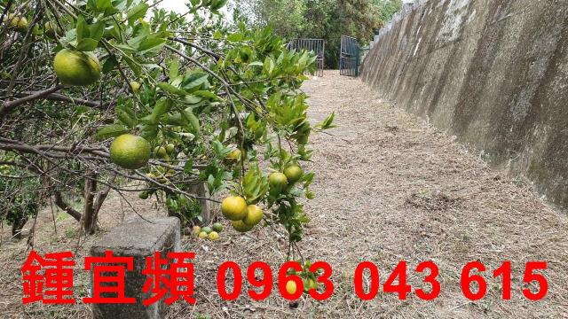 新竹芎林農地-12