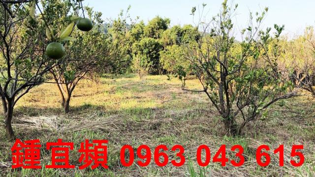 新竹芎林農地-2