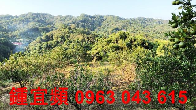 新竹芎林農地-4