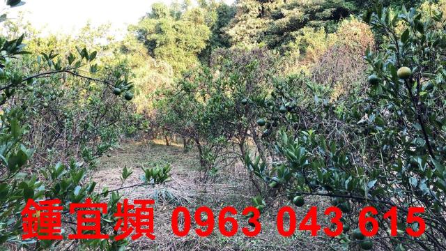 新竹芎林農地-9