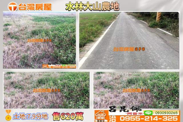 水林農地-1