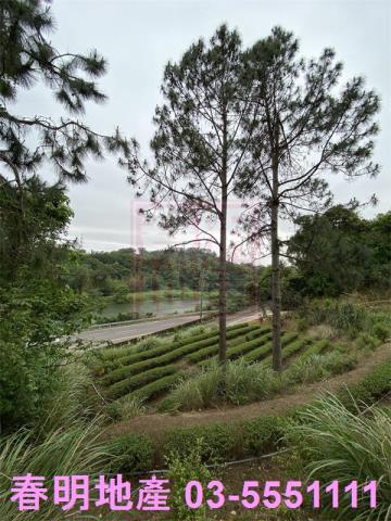 新竹峨眉農地-2