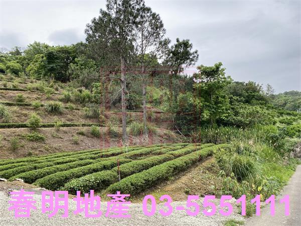 新竹峨眉農地-3