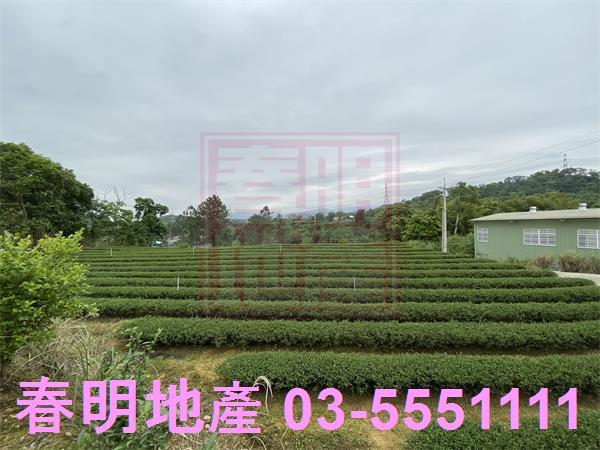 新竹峨眉農地-4