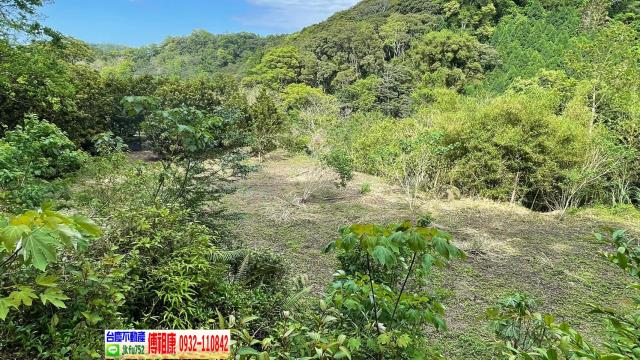 南庄農地-13