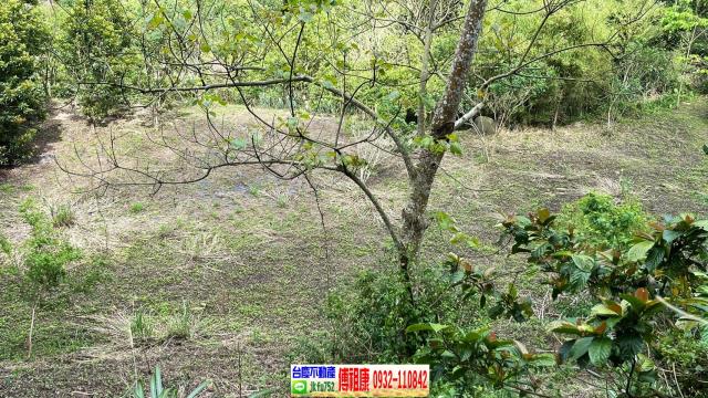 南庄農地-14