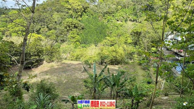 南庄農地-15