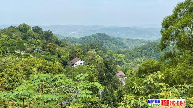 南庄林地-9