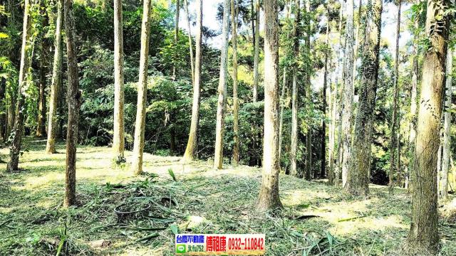 苗栗農地-5