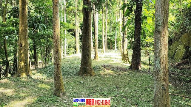 苗栗農地-6