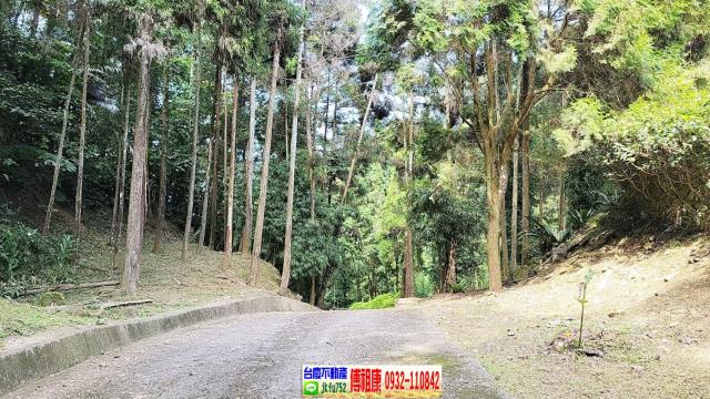 苗栗農地-8