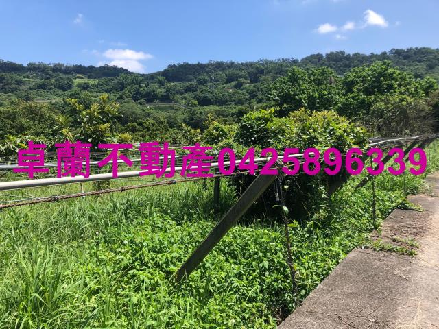 苗栗卓蘭農地-7