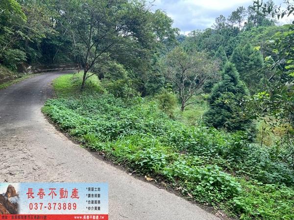 竹東農地-4