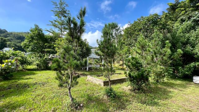 新竹關西農地-11