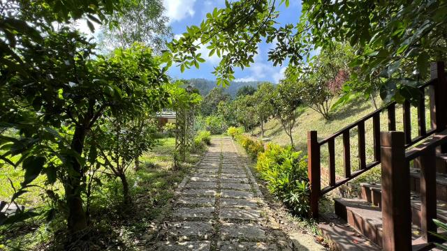 新竹關西農地-13