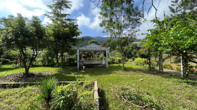 新竹關西農地-14