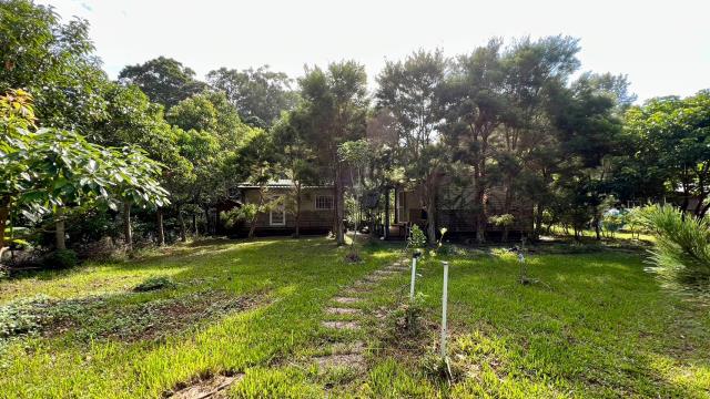 新竹關西農地-2