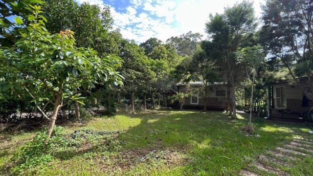 新竹關西農地-3