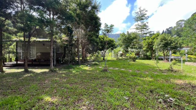 新竹關西農地-5