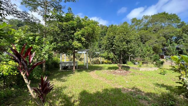 新竹關西農地-9