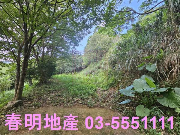 新竹橫山農地-2