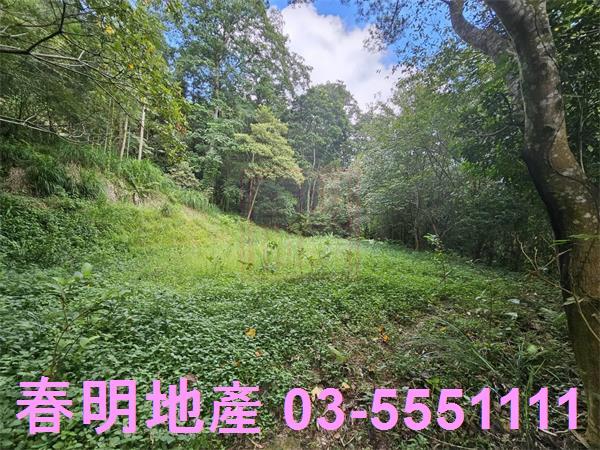 新竹橫山農地-3