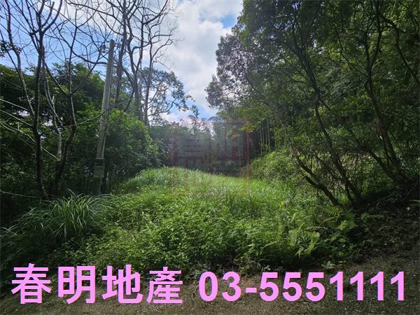 新竹橫山農地-6