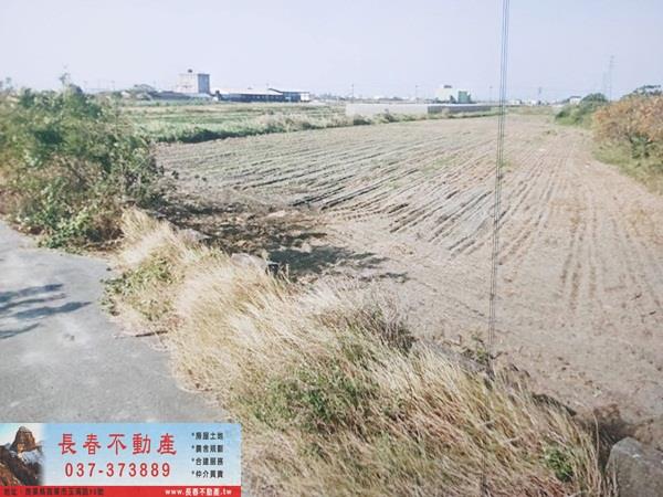 雲林口湖農地-2