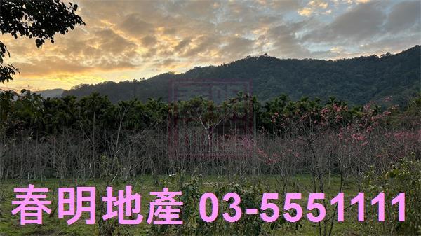 北埔農地-4