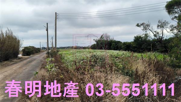 新竹新豐農地-3