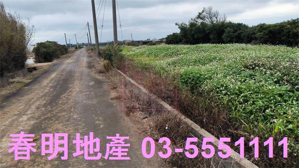 新竹新豐農地-4