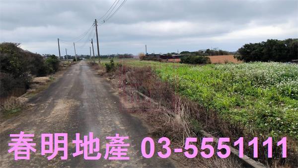 新竹新豐農地-5