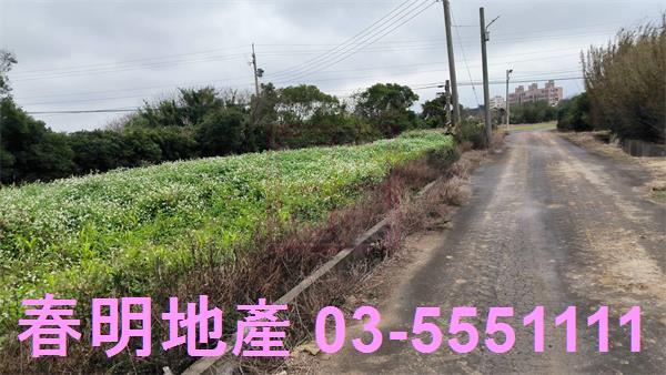 新竹新豐農地-6