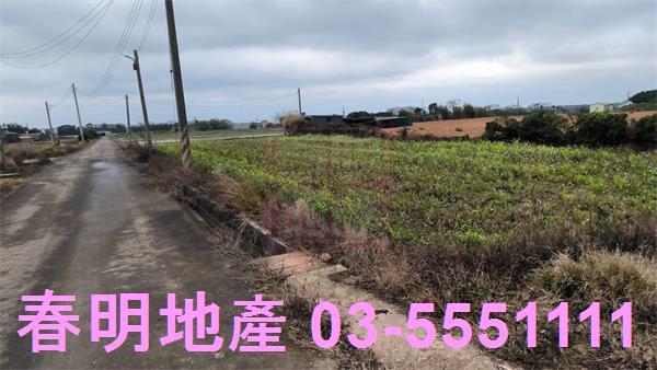 新竹新豐農地-7