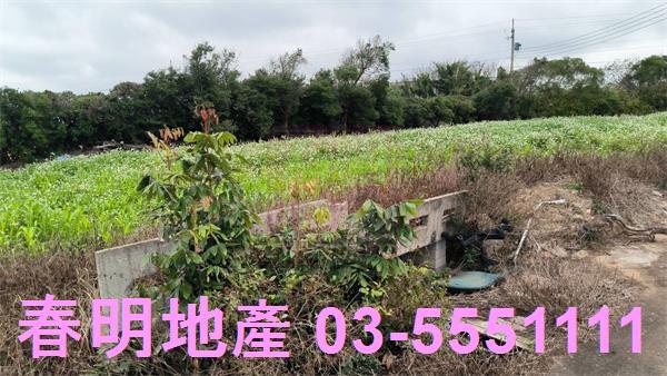 新竹新豐農地-8