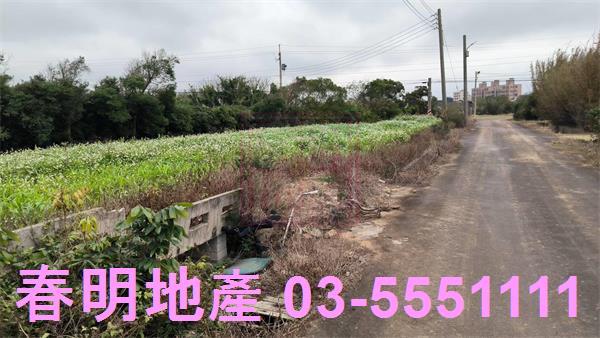 新竹新豐農地-9