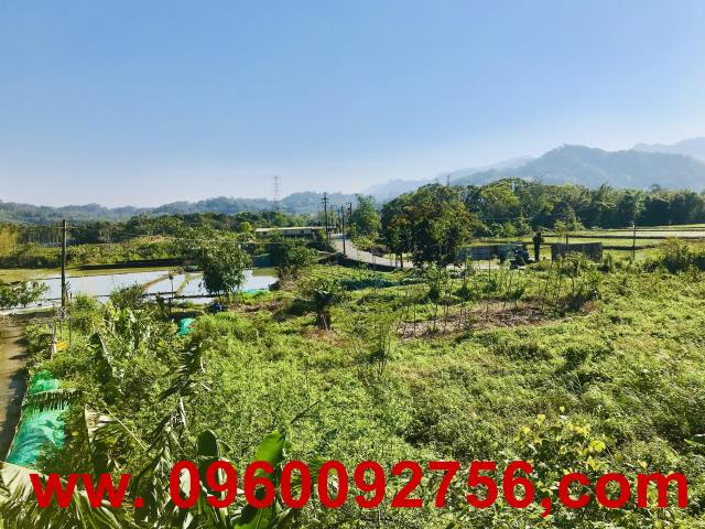 新竹橫山農地-4