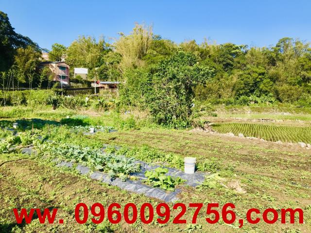 新竹橫山農地-5