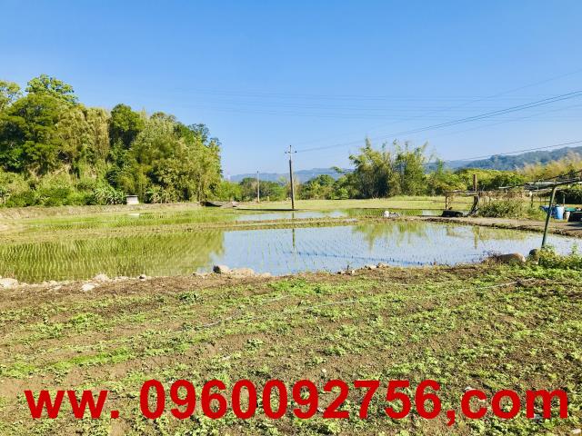 新竹橫山農地-6