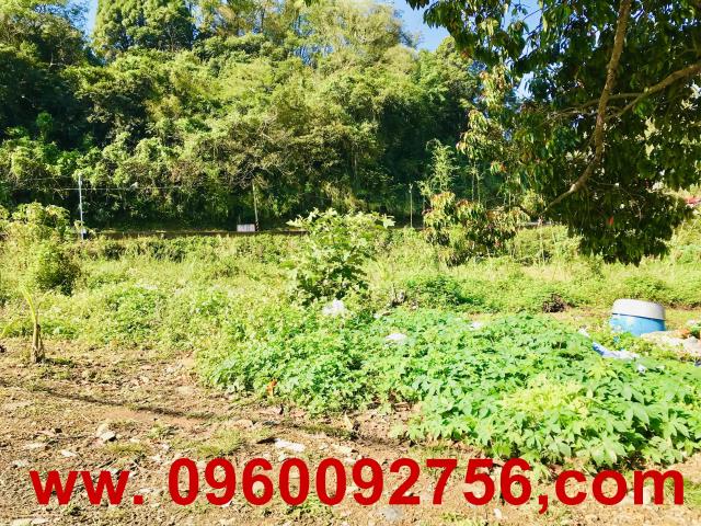 新竹橫山農地-7