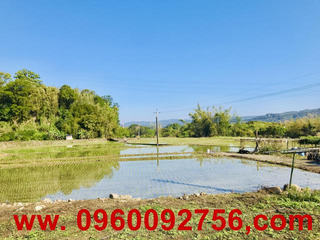 新竹橫山農地-8