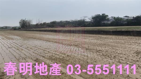 新豐農地-2