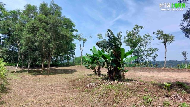 新竹農地-6