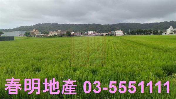 竹北農地-1