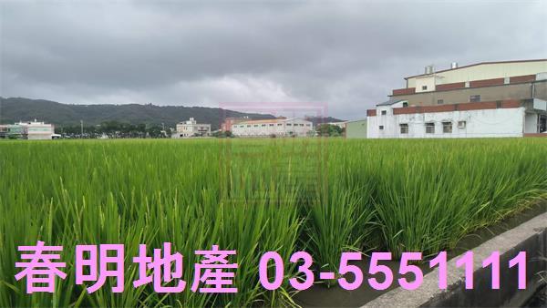 竹北農地-3