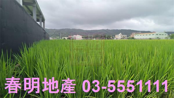 竹北農地-4