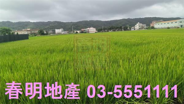竹北農地-7